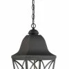 Budget ⭐ Signature Hardware Cardigan 60W 3-Light Outdoor Pendant in Black Bronze 😀 -Signature Hardware shop Query 1091