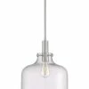 Coupon 🎁 Signature Hardware Crozet 60W 1-Light Medium E-26 Pendant in Polished Nickel 💯 -Signature Hardware shop Query 503