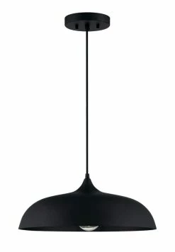 Best reviews of ✔️ Signature Hardware Blackthorne 60W 1-Light Medium E-26 Pendant in Matte Black ⌛