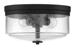 Hot Sale ❤️ Signature Hardware Ocana 60W 2-Light Medium E-26 Flush Mount Ceiling Fixture in Textured Black 🔔