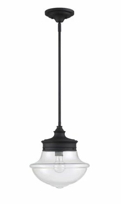 Best deal 🛒 Signature Hardware Havenhurst 60W 1-Light Medium E-26 Pendant in Sand Black 💯