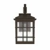 Brand new 🌟 Signature Hardware Ambler 6-1/2 in. 60W 1-Light Tall Outdoor Wall Sconce with Seedy Glass Shade in Oil Rubbed Bronze 🔥 -Signature Hardware shop Query 778