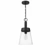 Coupon ✔️ Signature Hardware Casanel 10-1/4 in. 60W 1-Light Medium E-26 Incandescent Pendant in Matte Black 😉