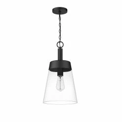 Coupon ✔️ Signature Hardware Casanel 10-1/4 in. 60W 1-Light Medium E-26 Incandescent Pendant in Matte Black 😉 -Signature Hardware shop Query 844