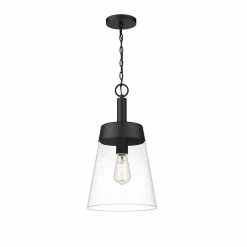 Coupon ✔️ Signature Hardware Casanel 10-1/4 in. 60W 1-Light Medium E-26 Incandescent Pendant in Matte Black 😉 -Signature Hardware shop Query 845