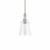 Hot Sale 😀 Signature Hardware Milford 100W 1-Light Medium E-26 Pendant in Brushed Nickel 🛒